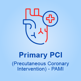 Primary-PCI@80x1